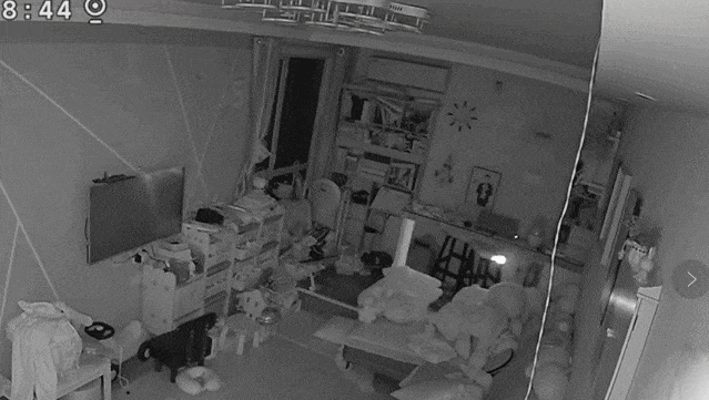 094426t3kwohmz13zhxo1o.gif