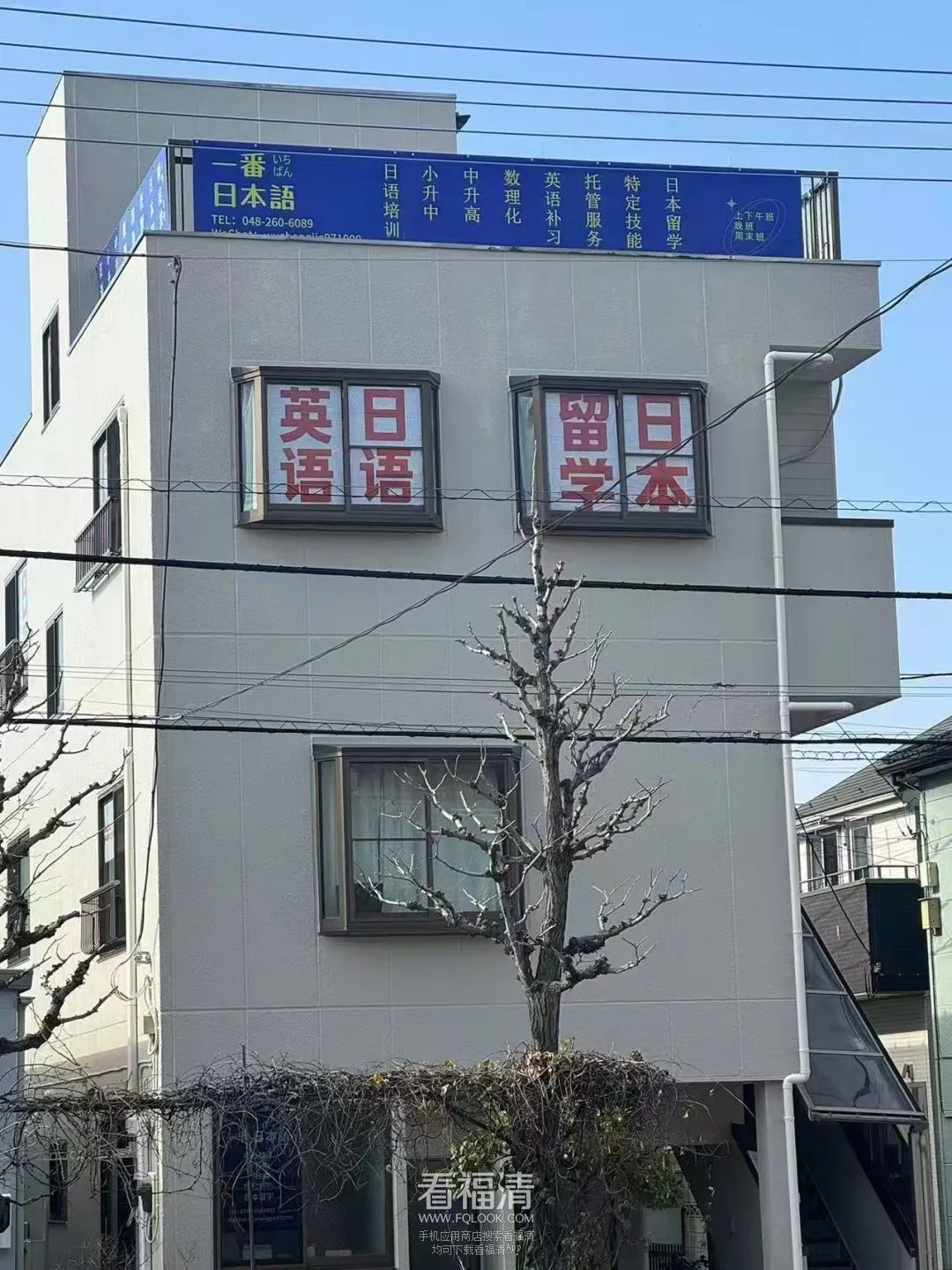 153527qjw67zfhkksfhdn2.jpeg