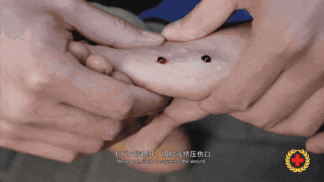 142056dgc1ukk8cgizt69u.gif