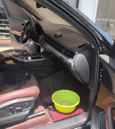 083105z0hszf66zq66zlf5.gif