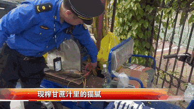 084147scylpwcr9s52krw3.gif