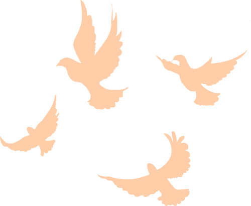 084438iufafuenk33fu6rf.png