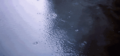 145526htnc1tvt3vd3e0aq.gif