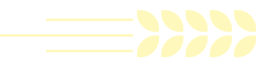 084236qj9d33n9auit89tt.png