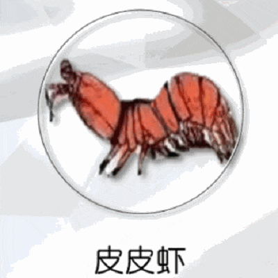 140807r8gygykk6k6fzi60.gif