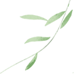 172908dnjmmi2eannh821i.png