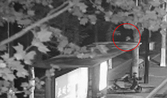 092123l6f0ajc9c34426aj.gif
