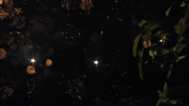 092423r7nzrypp2dofoeoe.gif