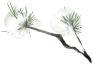 092811we0xq29u8i9gtzb9.png