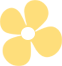 092852afn2zcmjeh67ngt3.png