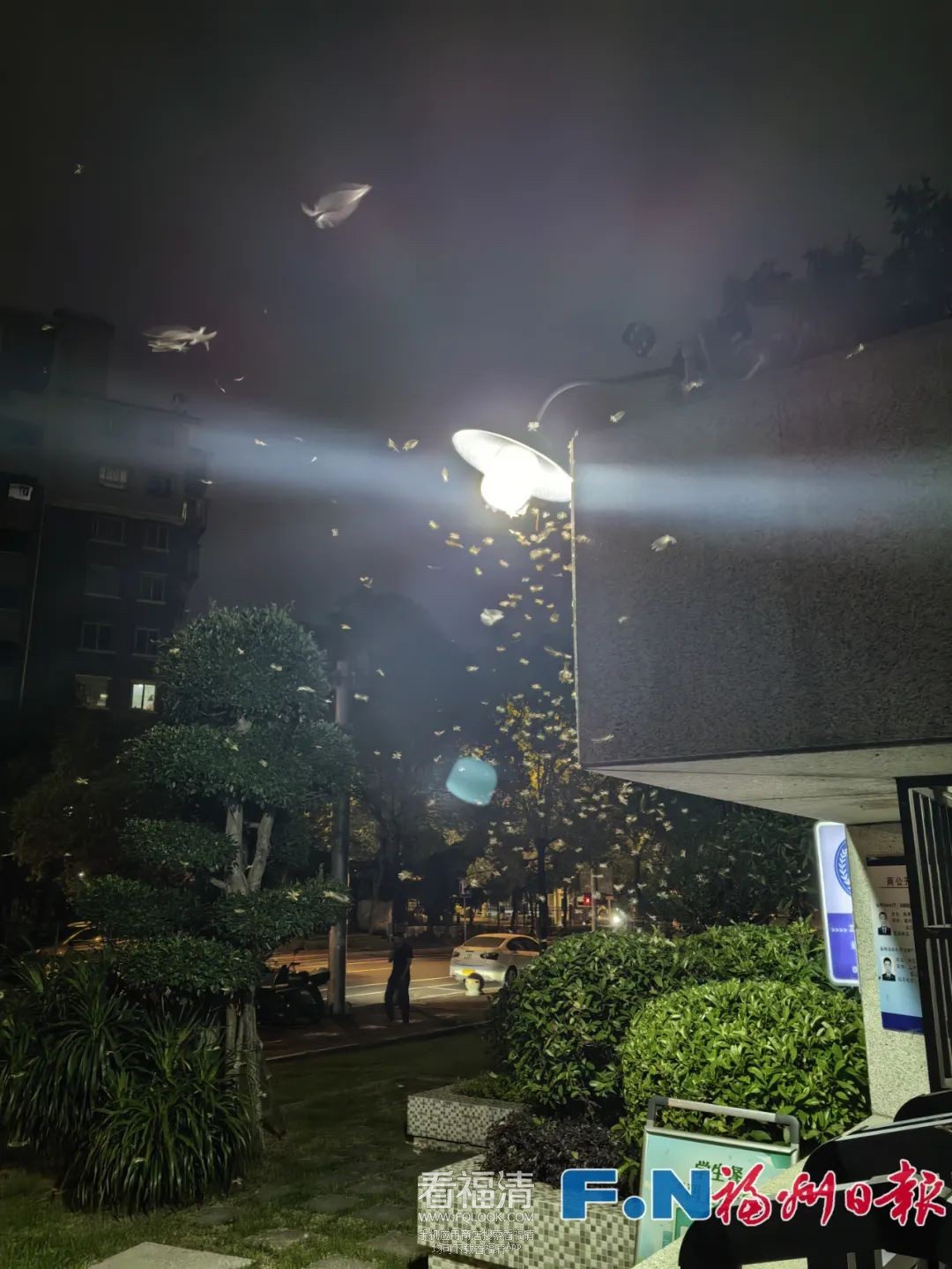 090806juc07j7u8r79aco7.jpeg