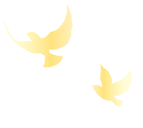 140551gz5js08tjjz2pp01.png