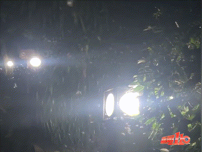 092126bd7dsidpfzgv47go.gif