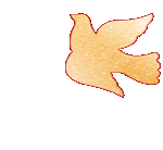 094407ackph8xd4l8qfecp.gif