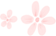 094036w7b2w2zrl47sliri.png