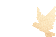 101534pssy67h895j9zs4z.gif