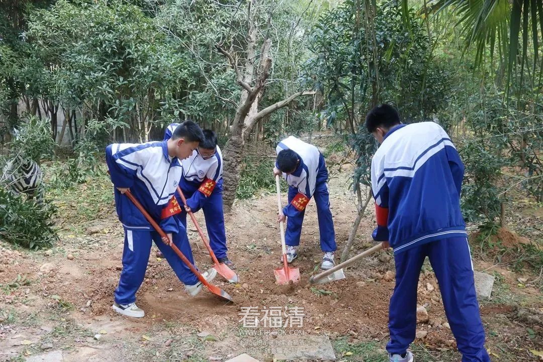175805dnk2prnipgu2dkg6.jpeg