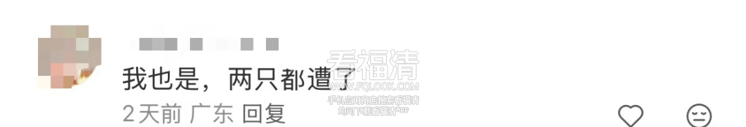 090309bk3amh25526qk4i4.png