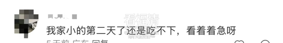 090309nmvwqfodmhg9w4vh.png