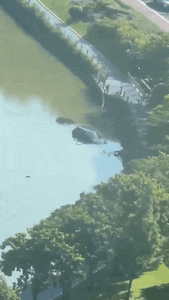 093007otn8zkncnnc8siub.gif
