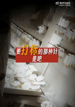 091754l1n171shmt5hxqt2.gif
