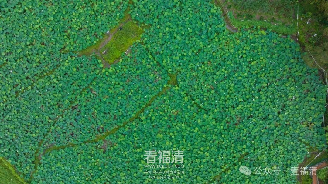 205724ifr2vt9tetu4z5tl.jpeg