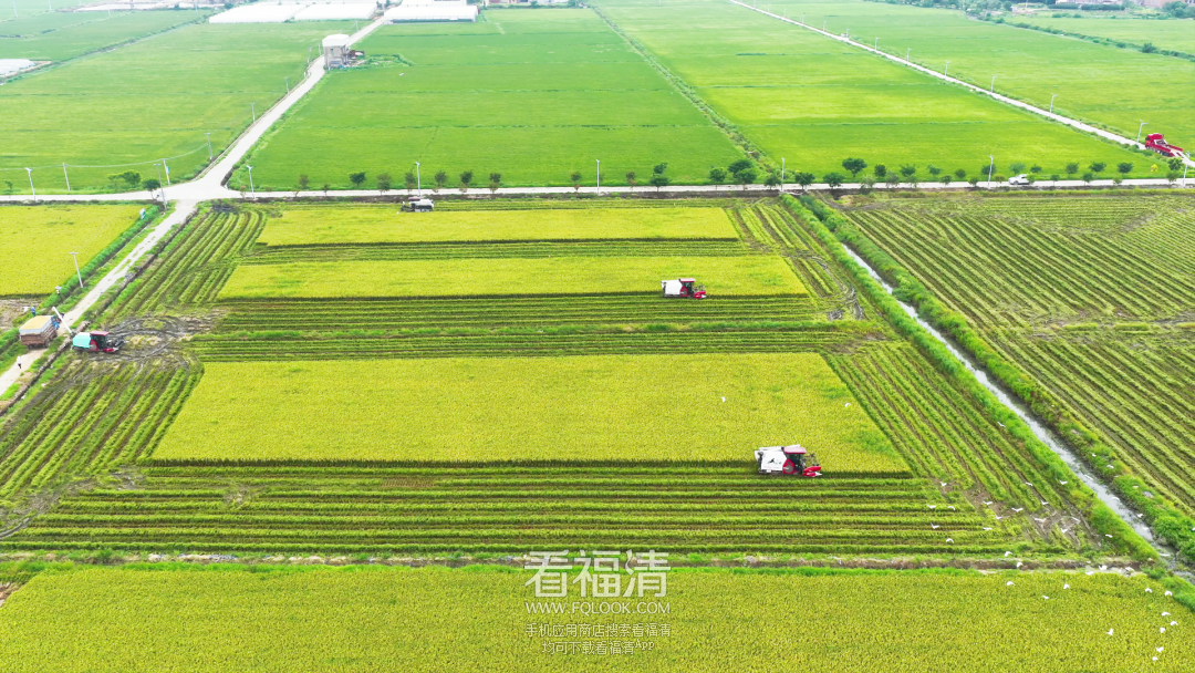 160628nz4ih6sf44sx4nrz.png