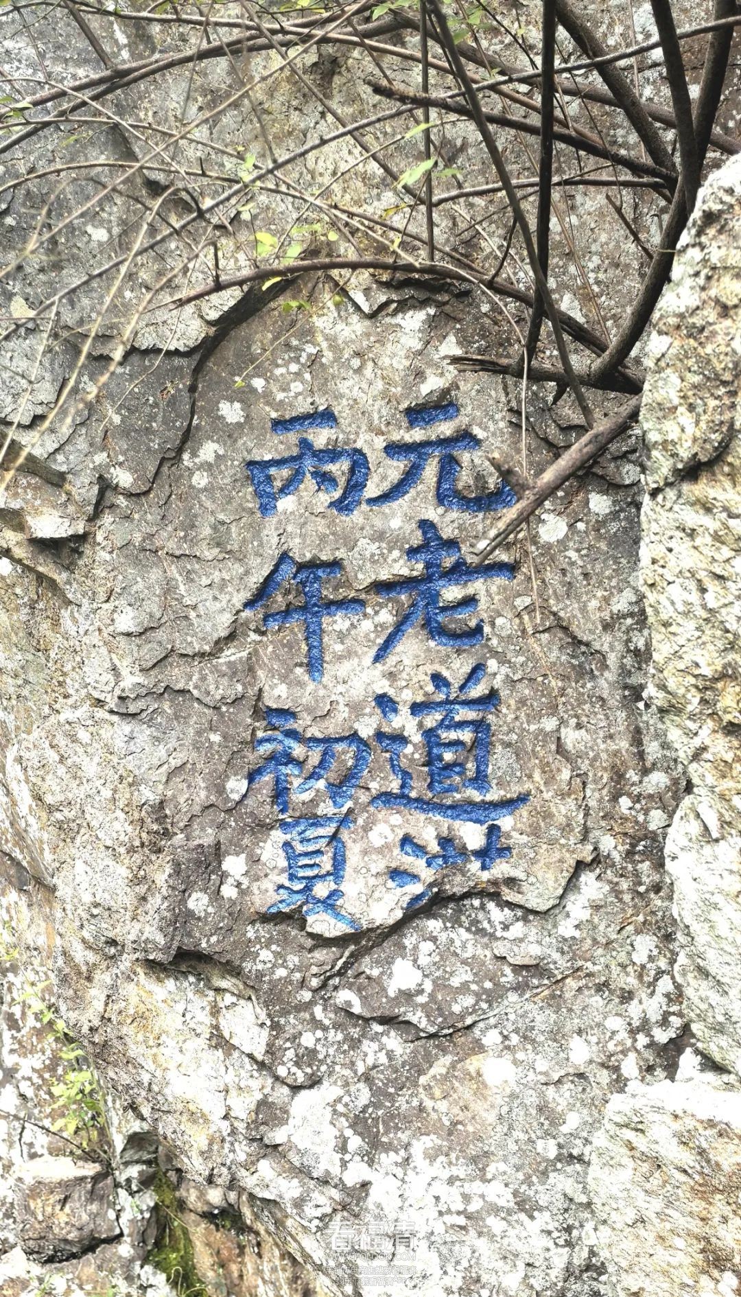 151830f8iffdvv80i6sisj.jpeg