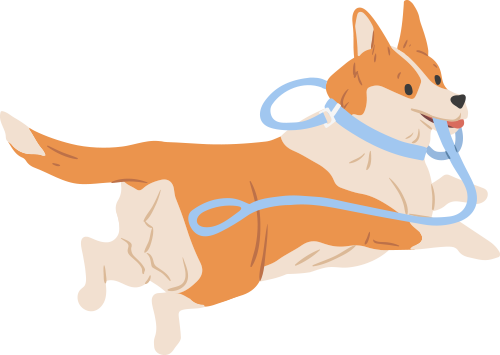 102546hg5gs05qdzddx425.png