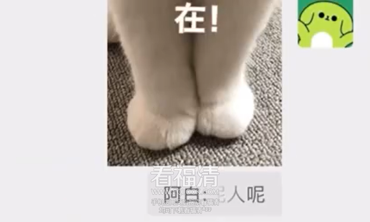 085626yzt2hz04uw6thz0w.png
