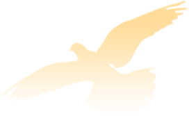 104151i8pgsho3rphgulha.png