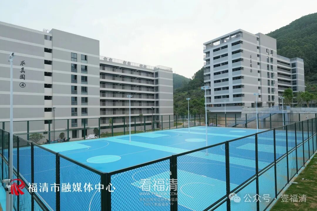 140606zfj1d77ddf311jml.jpeg