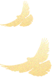 170959bx45x5s51sx14x1i.png