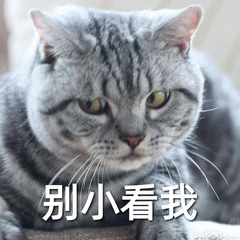 204025dqoqkqk6gmcedmmn.png