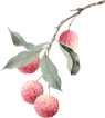 191043vqvwvjx9p8quvaeq.png