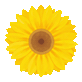 084314ggdr4o6q3d4h344j.gif