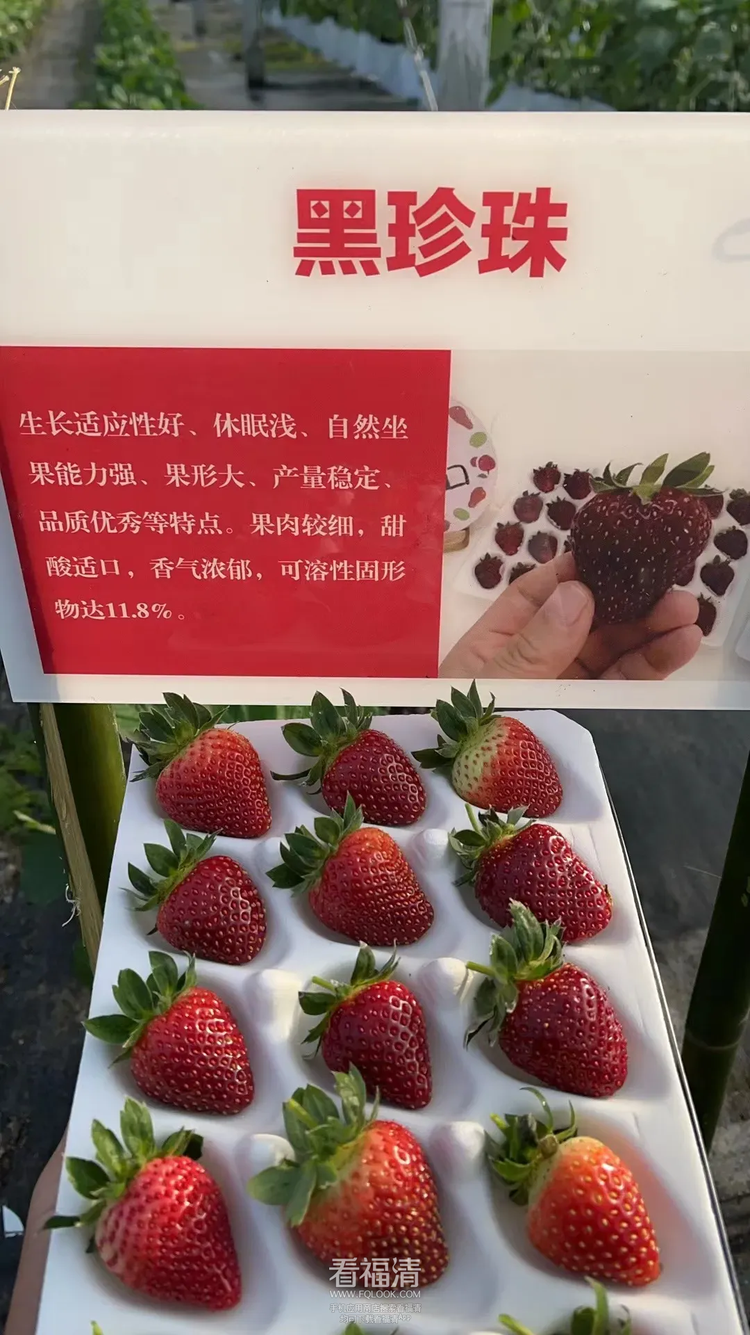 085425jmnn7kjvh727kn74.png