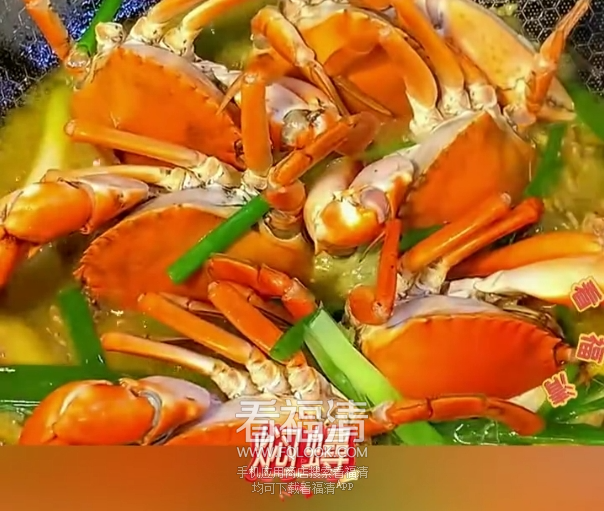 230432nvtbbgyvrizjtdbu.png