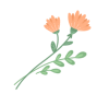 163515g2u11zqkmkqho2hh.gif