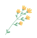 163515ucpmuj0czd0peped.gif