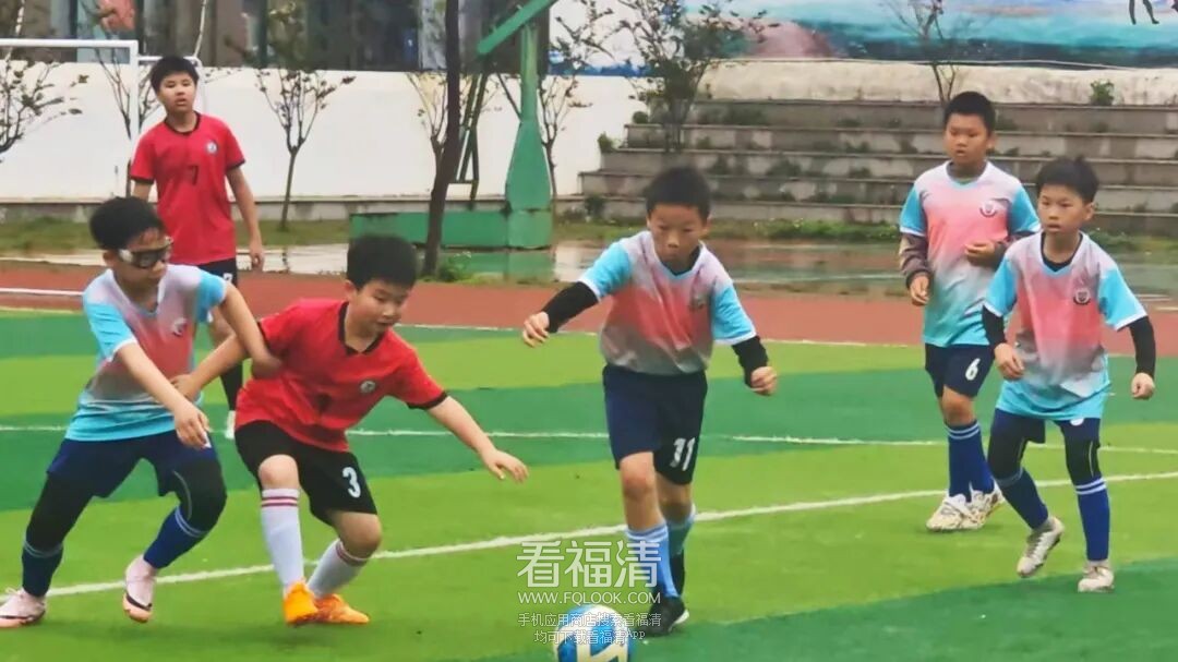 153035c084qlau6660tzzt.jpeg