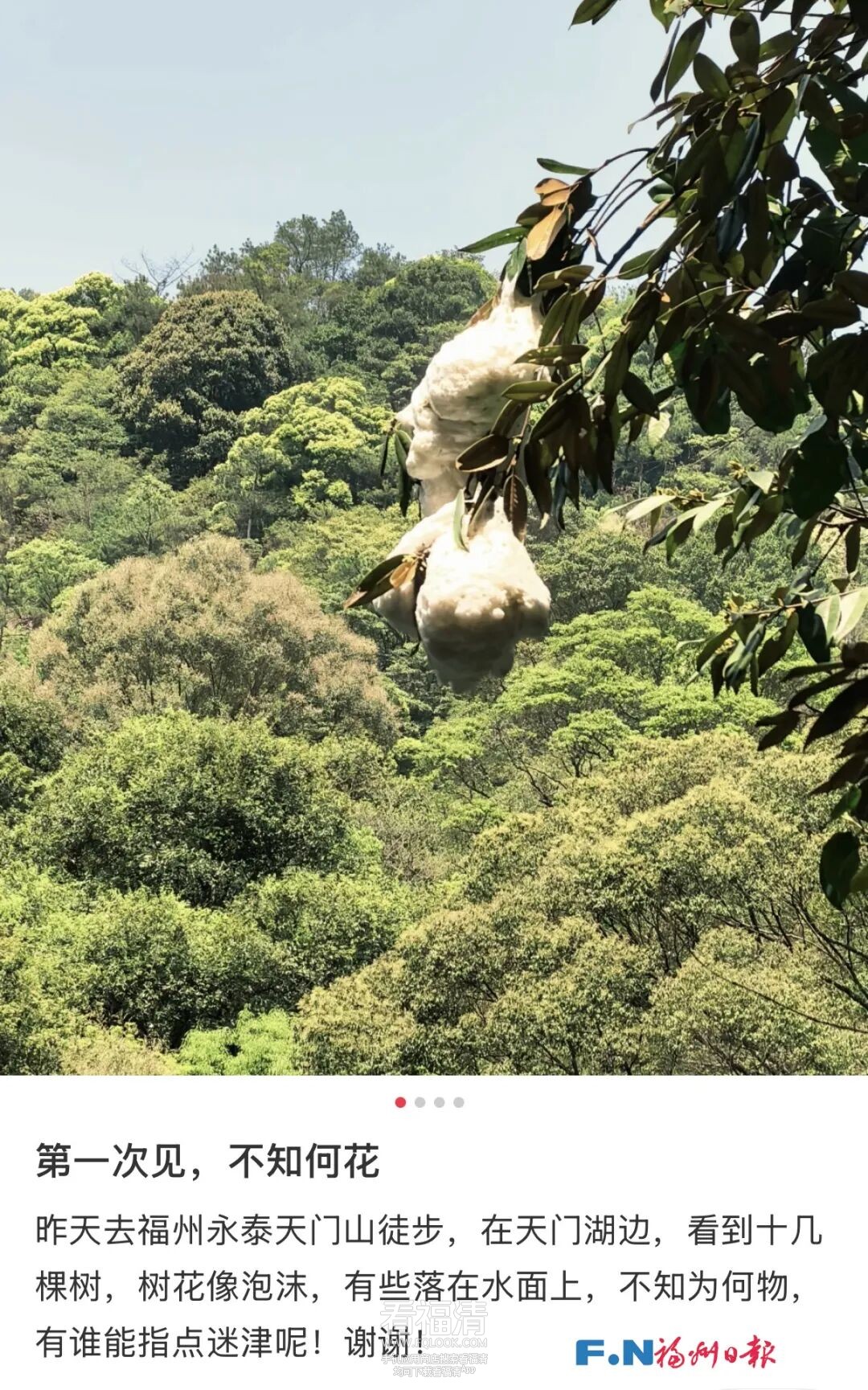 083028racvxxjf0xcmdxv4.jpeg