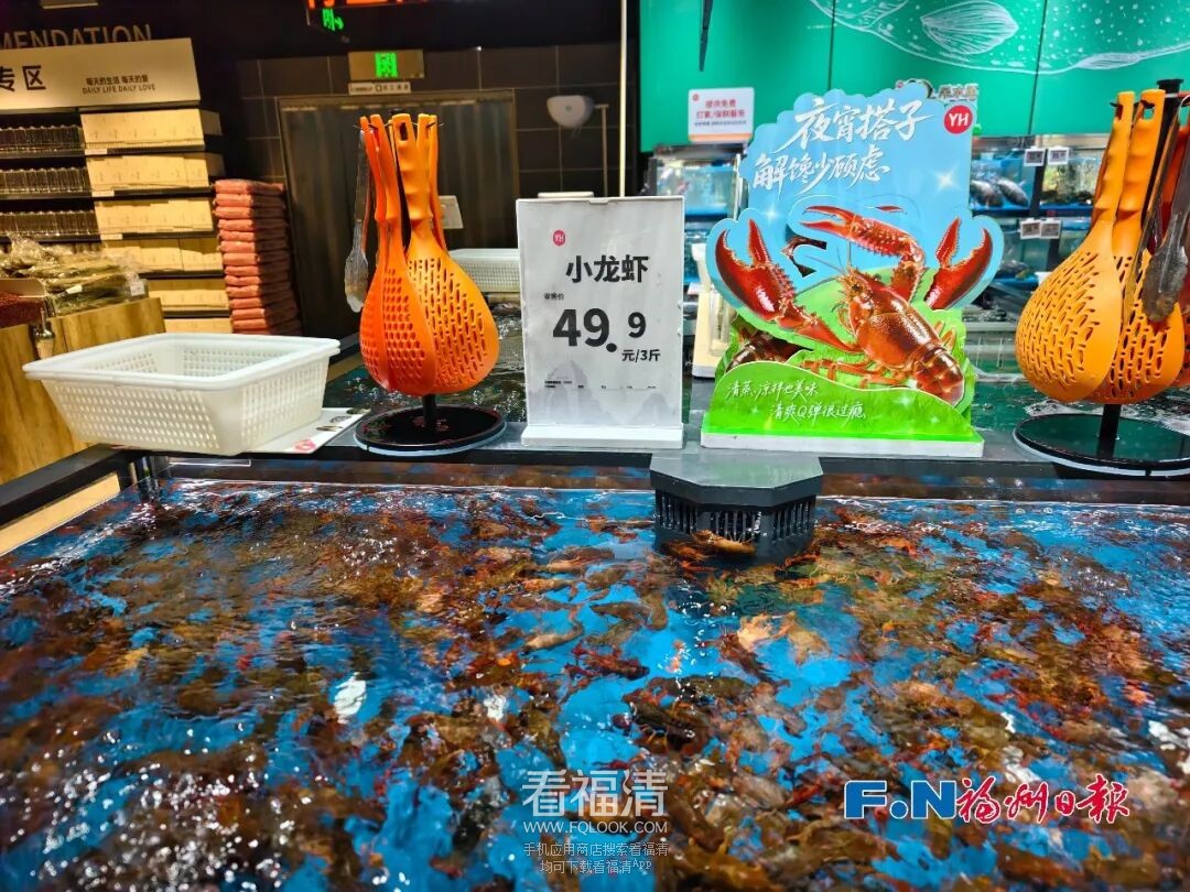 092245nkxl2qz1w2v5j1gl.jpeg