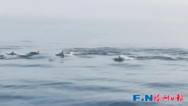 093347z444oadofzqqg1ov.gif