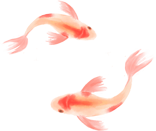 084650r9mfru9fcns9n9dc.png