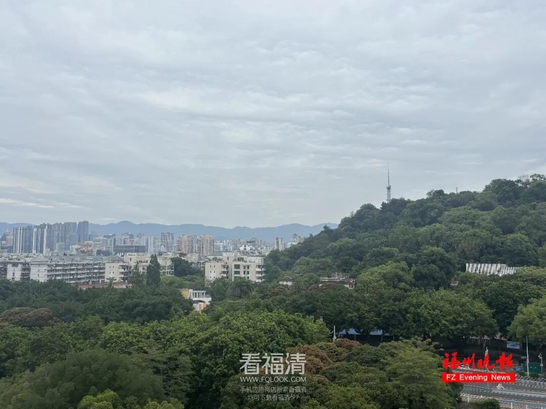 161518o54x7dp4xxm17m3f.jpeg