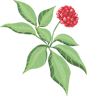 104130axis9d9swdslsjsx.png