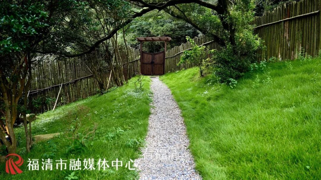 145033tme0477cm890ccsg.jpeg