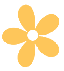 084355ryx7rrl73yzs455x.png