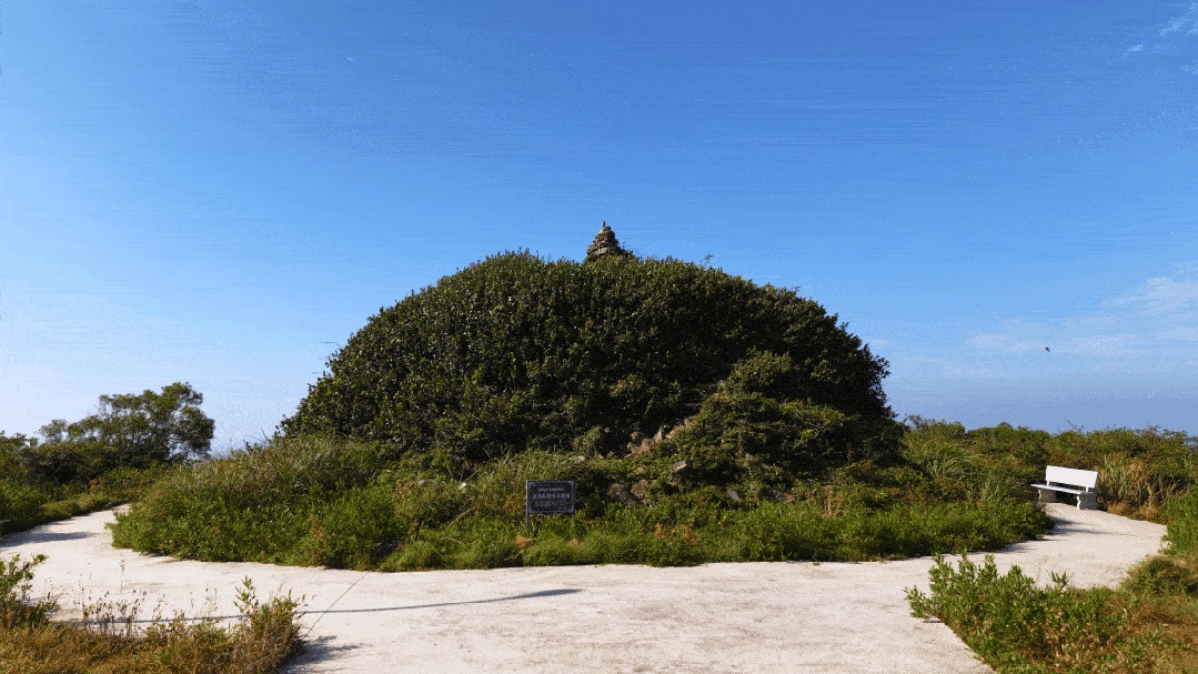 084833o9vm8u9bv6mnmmnc.gif